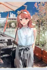 C106 vividcolor ぽんかん⑧ B2タペストリー 安いvividcolor ぽんかん