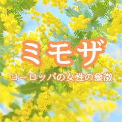 2024年最新】ミモザの種の人気アイテム - メルカリ