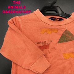 The Animals Observatory タオ トレーナー Ｔ-8-56
