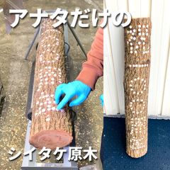 【原木アート】しいたけ文字原木 好きな文字を1〜7文字まで 1本 ☆送料無料☆