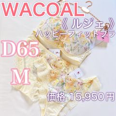 WACOAL ワコール【ルジェ】可憐で可愛い♪ ブラジャー上下3点セット　D65