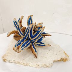 旅人の木 開花前⑤ 9節 - メルカリ