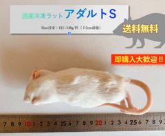 【送料無料】国産冷凍ラットアダルトS10匹入@即購入OK！北海道・沖縄の方も送料無料です！