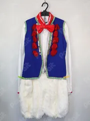 コスプレ衣装 ディズニーシリーズ／ドナルド（スプリングカーニバル）（Lサイズ相当）