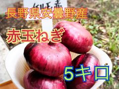 期間限定！赤玉ねぎ　ケル玉ルビー　５キロ　農薬：栽培期間中不使用　紫玉ねぎ