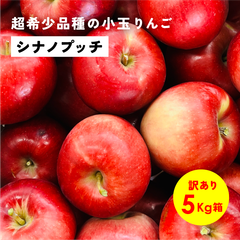 「シナノプッチ5キロ箱訳あり品」農林水産大臣賞 りんご 長野県産 安曇野 信州産 産地直送 送料無料 5キロ 箱使用 果物 フルーツ 鮮度抜群  超希少品種