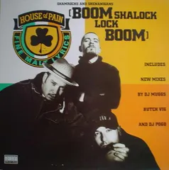 HOUSE OF PAIN RISE AGAIN レコード HOUSE OF PAIN RISE AGAIN レコード