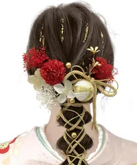 【新着商品】9色展開 ドライフラワー 和装 成人式 振袖 着物 髪飾り 袴 浴衣用 卒業式 [JZOON] かすみ草 A1800