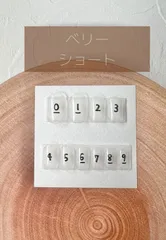 計測用チップ【ベリーショート】