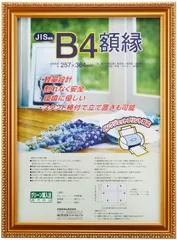 【特価商品】木製軽量額縁 金ケシ ナカバヤシ B4(JIS規格) フ-KWP-36 [オフィス用品]