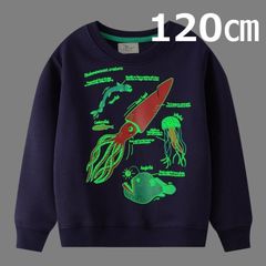 長袖 蓄光 トレーナー 120㎝ 120サイズ 子供服 キッズ 子ども 光る スウェット 深海魚 深海生物 ダイオウイカ コットン100％ 綿100％ 紺色 ネイビー クラゲ Size120 男の子 女の子 男女兼用 裏起毛無し 春服 秋服 冬服 水族館