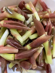 2025年最新】みょうがの人気アイテム - メルカリ