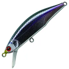 Jacksonメテオーラ52 9個セット 新品未使用 Jacksonメテオーラ52 9個セット 新品未使用 Jacksonメテオーラ52