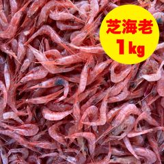 産地直送　お試し　国産　海老　1kg    小エビ　生冷凍　芝エビ　天然芝海老　宮崎県産　1kg     釣り　餌　釣り餌　エビ　芝海老　かき揚げ　唐揚げ　お好み焼き　むき海老　エビ　居酒屋メニュー