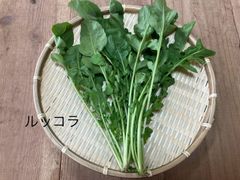 産直❗️朝どりルッコラ🥬クール便