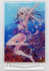 [중고] 아크릴 스탠드 아크릴 패널 일리야스필 폰 아인츠베른 (D) 아크릴 패널 [추첨 당당 Fate/kaleid liner 프리즈마☆일리야 TV 애니메이션 10주년 기념 복권 Seite:Mond] C-8상
