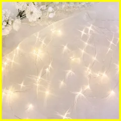 【新着商品】LEDライト 5m 50球 結婚式 生地 ウェルカムスペース 電池式 セット オーガンジー 装飾 チュール 布 regalo イルミネーションライト ナチュラル