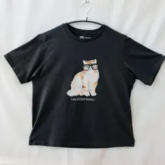 古着　美品　ユニクロUTコレクション　PAUL&JOE グレー系Tシャツ　ユニセックスXXLサイズ