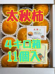【太秋柿】４キロ箱　11個入