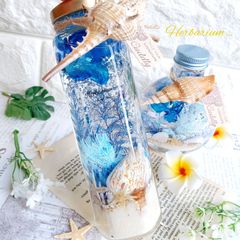 海ハーバリウム インテリア ギフト ハーバリウム