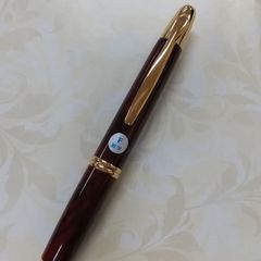 ノック式万年筆 細字(F)