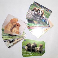 【 レトロ · アンティーク 】 犬の写真のテレホンカード・パスネット　使用済み品　まとめ　46枚