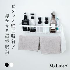 Item thumbnail for item b26f2782-a438-4e06-99a3-61e66188b7b2