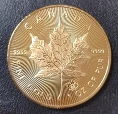 2011年 25枚 カナダ「メイプルリーフ」純銀 1オンス 銀貨 2025年 (新品) カナダ「メイプルリーフ」純銀 1オンス 銀貨