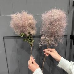 3/2まで！限定価格 スモークツリー中枝S 2本セット②  ピンク