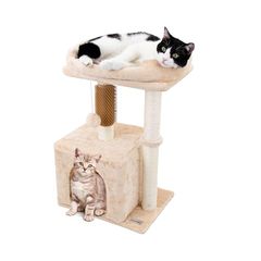 Item thumbnail for item 105525b6-cd22-4558-a933-ffb3f8257959