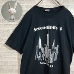 フルーツオブザルーム【半袖Tシャツ　New York City　1954　コットン　黒　古着】Lサイズ