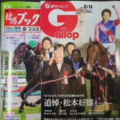Gallop 競馬雑誌 1996-2014 18冊セット ※2011なし Gallop 競馬雑誌 1996-2014 18冊セット ※2011なし Gallop 競馬