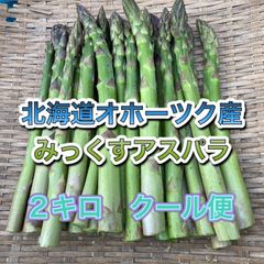 北海道(オホーツク)産朝採りアスパラ　A品B品ミックス　5キロ 北海道オホーツク産 かんじめアスパラ | 野菜 | SNOW JEWELS