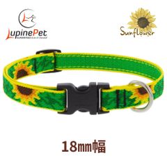 Item thumbnail for item 0ad421c3-3547-4aa5-be1f-38a744a6be68