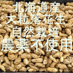 完売！　北海道産　大粒落花生　おおまさり　クロネココンパクト　1kg　化学肥料、農薬、動物性堆肥不使用　草堆肥だけの自然栽培！