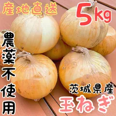 ⭐︎大人気【農薬不使用】自慢の玉ねぎ5Kgのサムネイル
