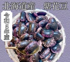 令和５年産　紫花豆　480ｇ　【送料無料】【メール便】【代引き不可】