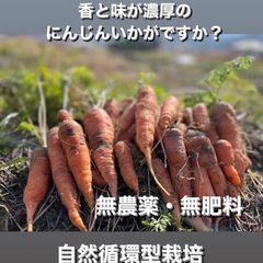 2024年冬収穫　自然栽培にんじん 2kg⭐︎無農薬・無肥料⭐︎