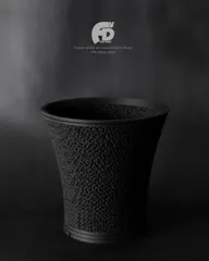 グラキリス 中株 ぼってり扁平型 塊根植物 黒鉢付き グラキリス 中株 ぼってり扁平型 塊根植物 黒鉢付き パキポディウム