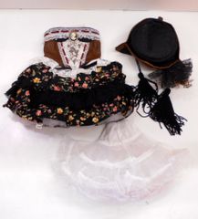 無属性 ぬい服 30cm Princess Closet ブラウニードレス 青 - メルカリ