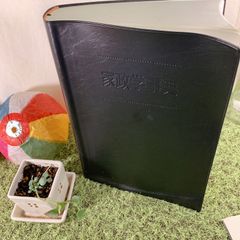 家政学事典, 日本家政学会 (朝倉書店) - 古本［辞典］