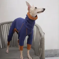 2025年最新】イタリアングレーハウンドの人気アイテム - メルカリ