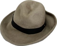 Item thumbnail for item b0d0e0d6-f859-4328-b62d-55734bf284eb