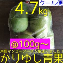 沖縄県産 摘果マンゴー/青マンゴー/グリーンマンゴー@100g〜約4.7kg【クール便】②