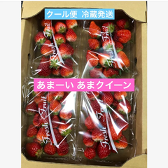 いちご イチゴ 苺 あまクイーン 4パック クール便 減農薬 新鮮