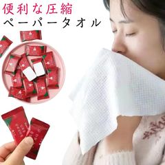 ペーパータオル ディスポタオル 30*24cm 不織布 100枚入り 厚手 吸水性 汗拭き ドライタオル 洗顔 使い捨てタオル スポーツ 柔らか 体拭き ボディタオル タオル エステタオル 業務用 水#conne607228