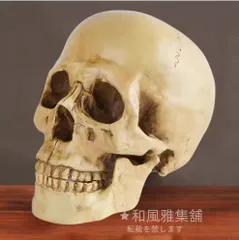 大人気売れ筋商品！頭蓋骨模型 本物と同じくらいのサイズ 人体模型 スカル 置物 インテリア 骨 解剖 医療教育