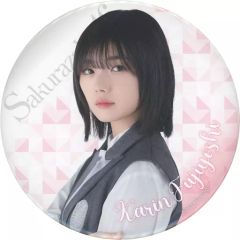 櫻坂 櫻坂46 缶バッジ 5th Anniversary ドレス 藤吉夏鈴 - メルカリ