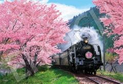 わたせせいぞう　 ジグソーパズル　1000ピース　ふたりだけの草原鉄道 1000ピースジグソーパズル〜鉄道の旅シリーズ〜春景色のわたらせ渓谷