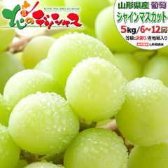 【予約/9月中旬(9月19日)頃～出荷予定】 山形県産 ぶどう ご家庭用 訳あり シャインマスカット 5kg(6房～12房入り) ブドウ 葡萄 わけあり ご自宅用 ご家庭用 お家用 お得 お買い得 果物 フルーツ 山形県 山形県直送 グルメ お取り寄せ